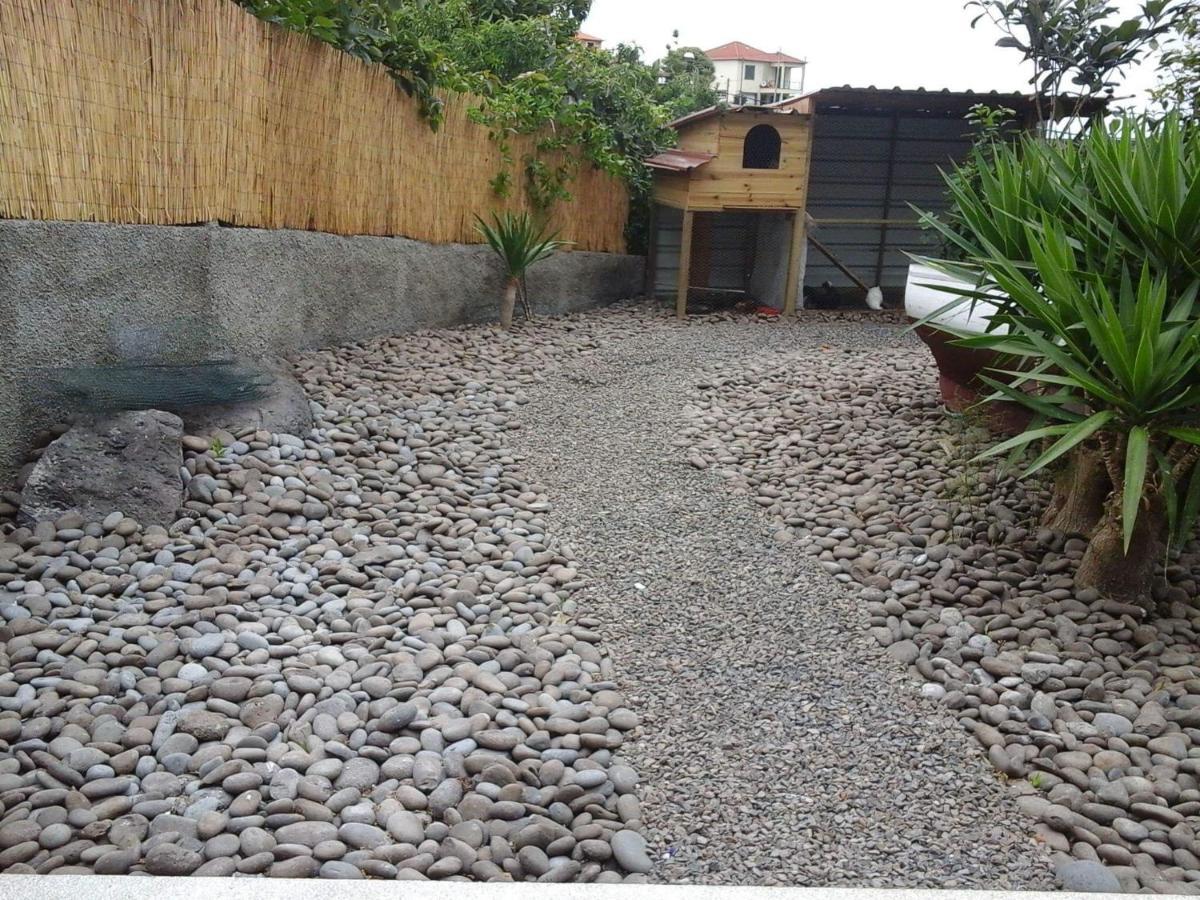 Cottage Quinze, Contemporary Designed Cottage With Swimming Pool ปอนตา เดลกาดา ภายนอก รูปภาพ